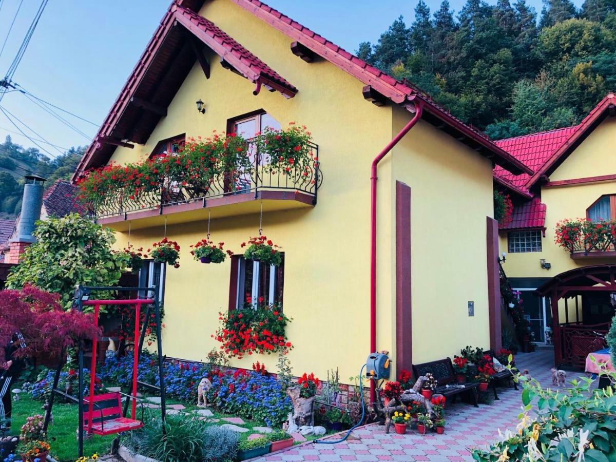 Hotel Ika House Poiana Mărului Exteriér fotografie